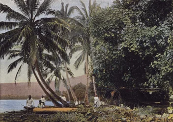 Côte de Mataiea